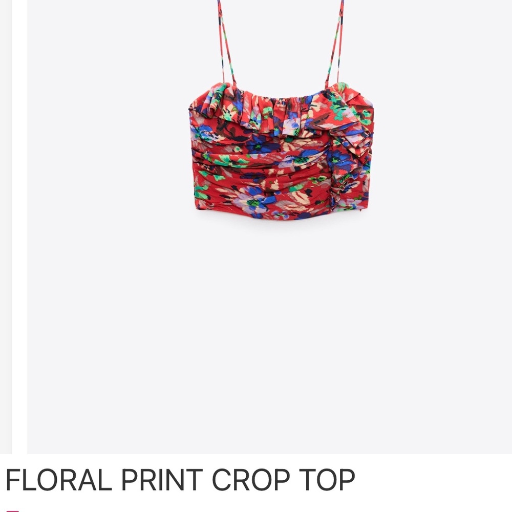 Zara Floral Print Crop Top